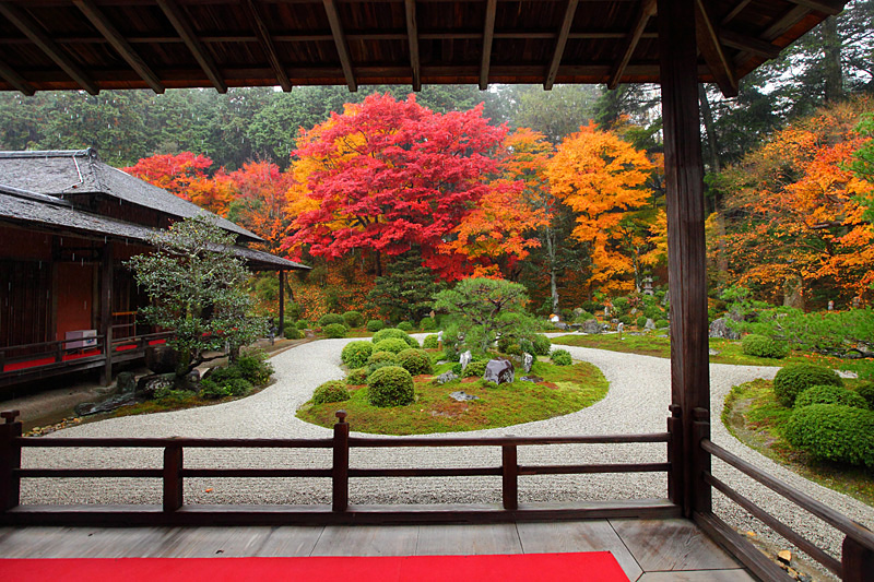 曼殊院 紅葉