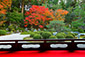 ֎@@gt@掿@ʐ^