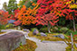 南禅寺方丈　紅葉　高画質　画像