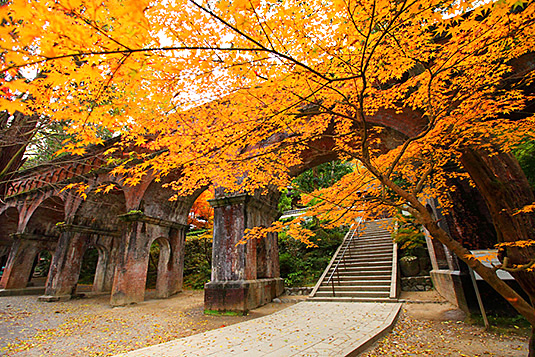 南禅寺の紅葉　写真