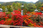 南禅寺の秋　三門上からの紅葉