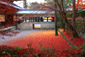 南禅寺　散り紅葉