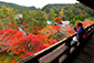 南禅寺　三門上からの景色　紅葉