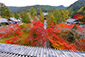 京都　南禅寺　紅葉　三門からの眺望