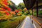 京都　南禅院　紅葉　見頃　なんぜんいん