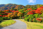 嵐山　紅葉　画像