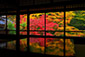 京都　瑠璃光院　紅葉　見頃　時期　いつ