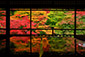 京都　八瀬　瑠璃光院　紅葉　秋　観光　旅行