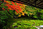京都　瑠璃光院　瑠璃の庭　紅葉　るりのにわ
