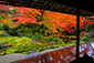 京都　瑠璃光院　瑠璃の庭　臥竜の庭　床紅葉