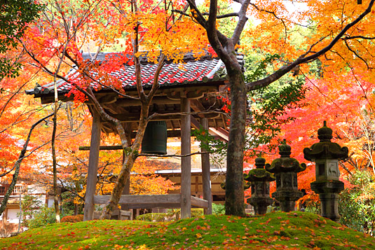 「西明寺 紅葉」の画像検索結果