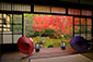 京都　勝林寺　紅葉　高画質写真