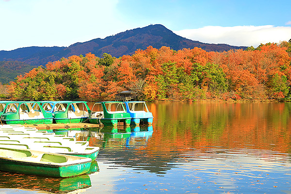 �󂪒r�����@�g�t