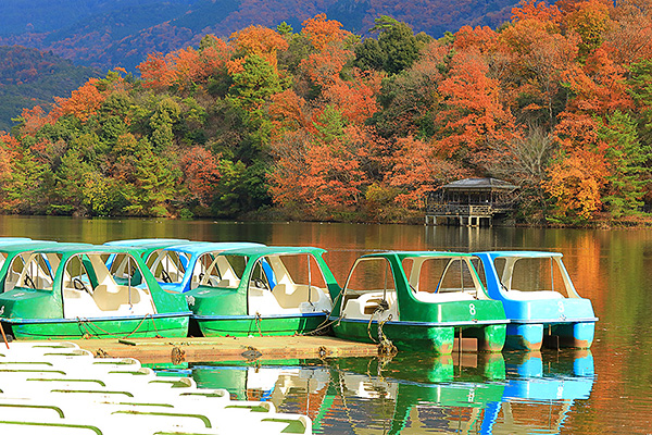 �󂪒r�@�g�t