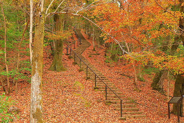 ���s�@�󃖒r�����@�g�t