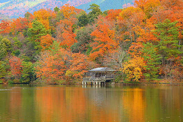 �󃖒r�@�g�t�@�摜