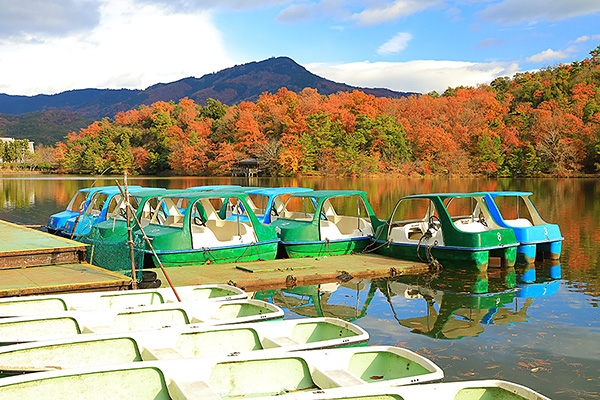 �󂪒r�����@�g�t�@�{�[�g