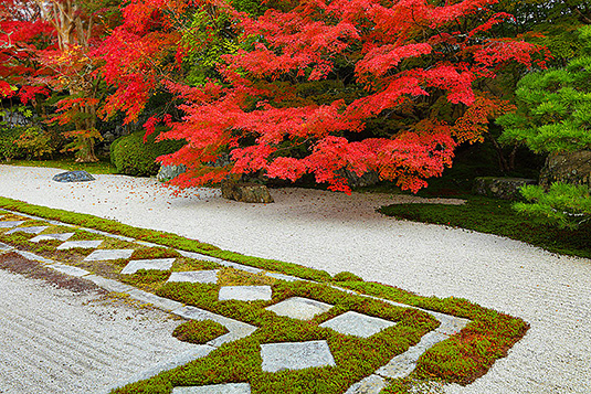 �V�����@�g�t�@�뉀