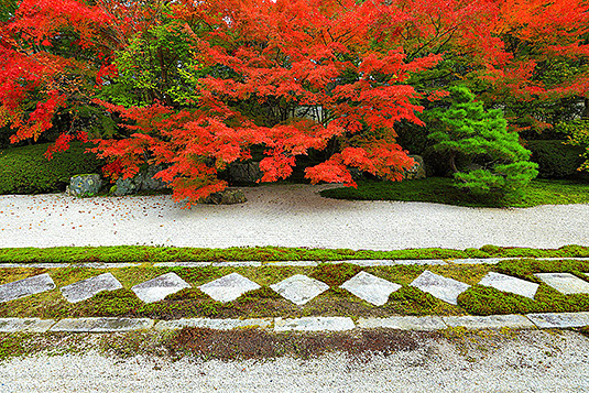 �V�����@�H�@�ʐ^