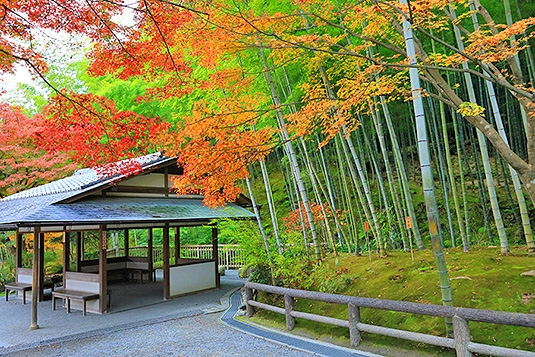 �V�����@�|��