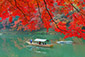 嵐山屋形船　紅葉