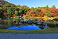京都　嵐山　天龍寺　曹源池庭園　紅葉　いつ　見頃　時期