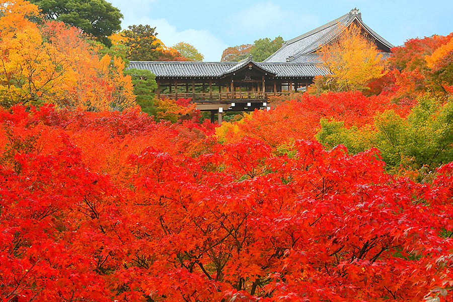 東福寺