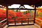 京都　東福寺　紅葉　高画質写真