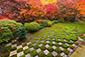 東福寺方丈庭園　北庭　紅葉