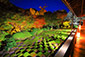 東福寺　紅葉　ライトアップ　高画質画像