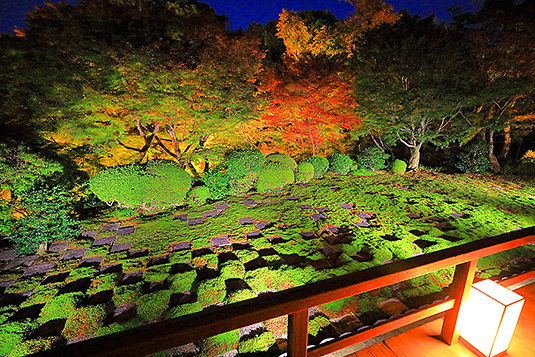 東福寺　ライトアップ　紅葉　庭