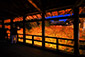 東福寺　紅葉　ライトアップ　高画質　写真