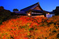 東福寺　紅葉　ライトアップ　高画質写真