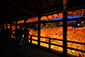 東福寺　紅葉　ライトアップ画像