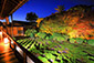 東福寺ライトアップ　紅葉　画像