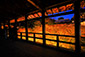 京都 紅葉 ライトアップ　東福寺