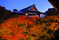 東福寺の紅葉ライトアップ　高画質写真