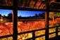 京都　東福寺　紅葉　ライトアップ