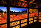東福寺の紅葉ライトアップ　高画質画像
