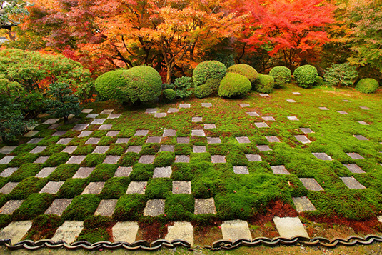 ����������@�g�t