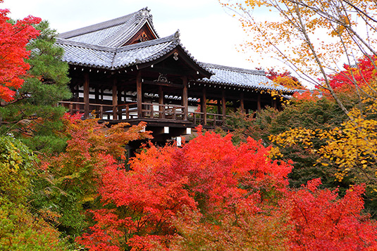 �������g�t