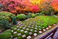 東福寺方丈　紅葉