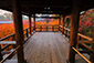 東福寺方丈　通天台　紅葉