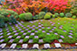 東福寺方丈　紅葉　画像