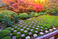 東福寺方丈　紅葉庭園