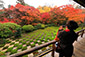 東福寺方丈庭園　紅葉旅行