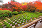 東福寺方丈庭園　紅葉