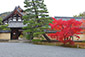 京都　等持院　紅葉