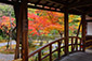 京都　等持院　紅葉写真