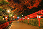 八坂神社　紅葉　ライトアップ